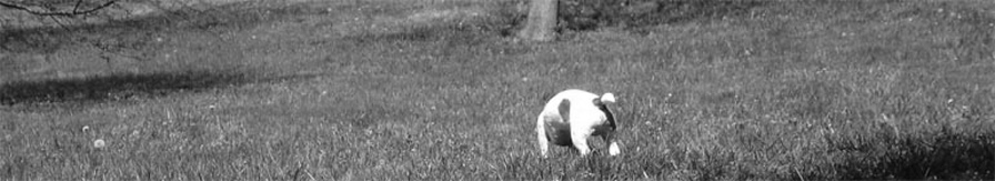 Gilad Benari on Weight Loss header image 2